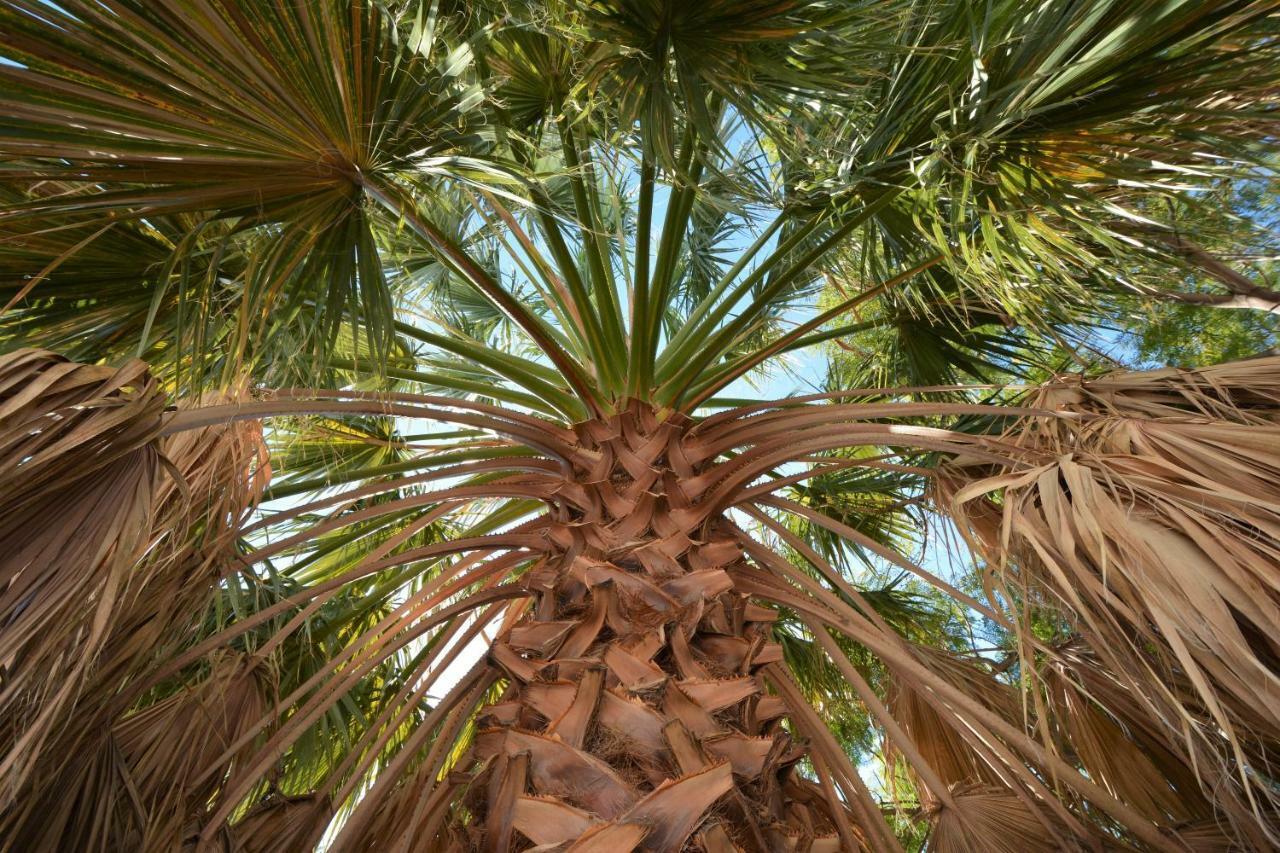 Apartmán Pura Vida El Morche Torrox Exteriér fotografie