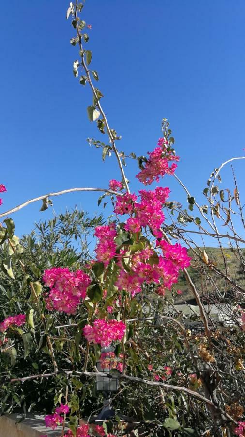 Apartmán Pura Vida El Morche Torrox Exteriér fotografie